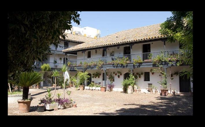 Apartamento En Monumento Historico Nacional Corral Del Conde-Duque De Olivares 塞维利亚 外观 照片