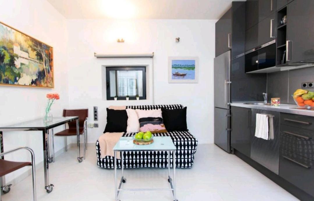 Apartamento En Monumento Historico Nacional Corral Del Conde-Duque De Olivares 塞维利亚 外观 照片