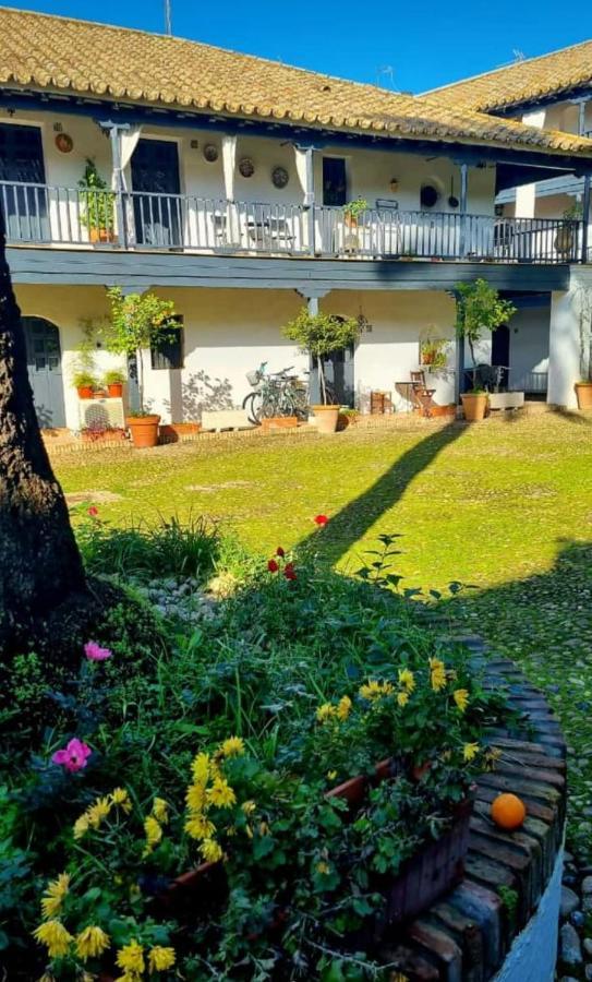 Apartamento En Monumento Historico Nacional Corral Del Conde-Duque De Olivares 塞维利亚 外观 照片